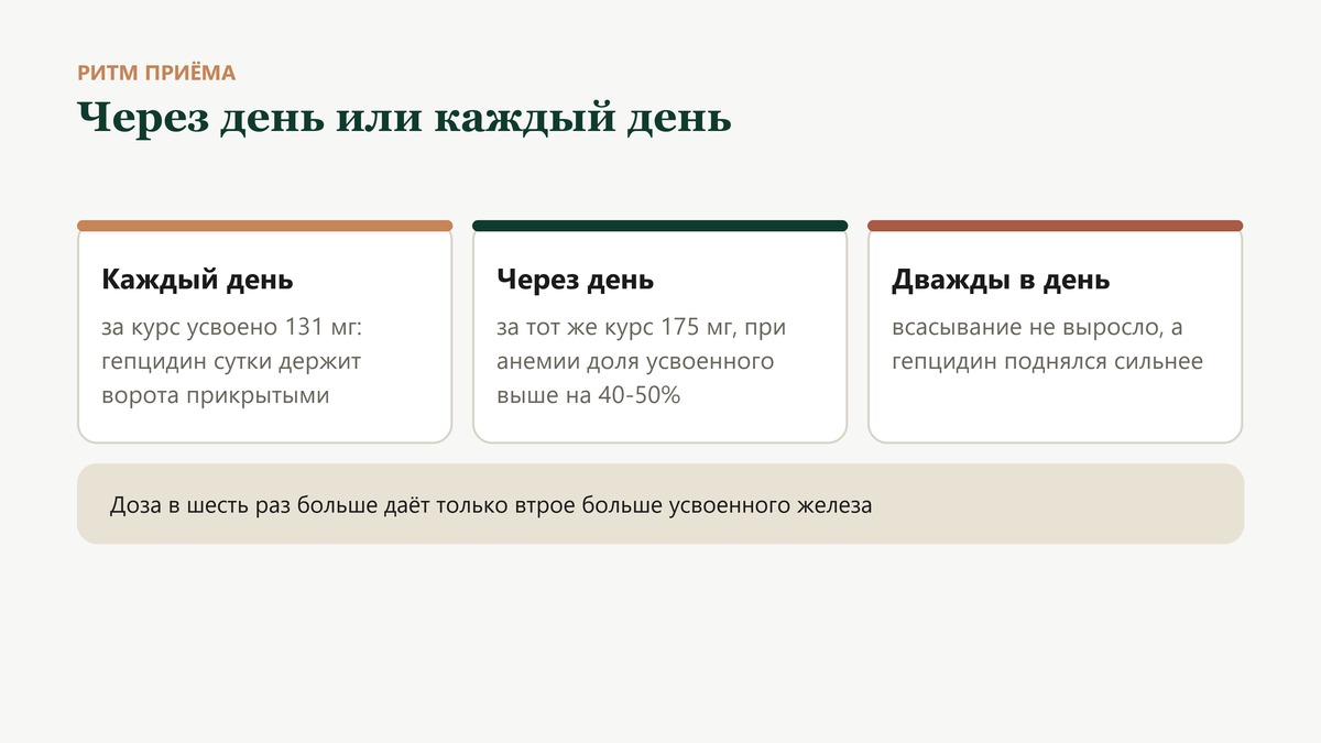 Через день или каждый день: при ежедневном приёме за курс усвоено 131 мг железа, при приёме через день 175 мг, а деление дозы на два приёма всасывание не улучшило
