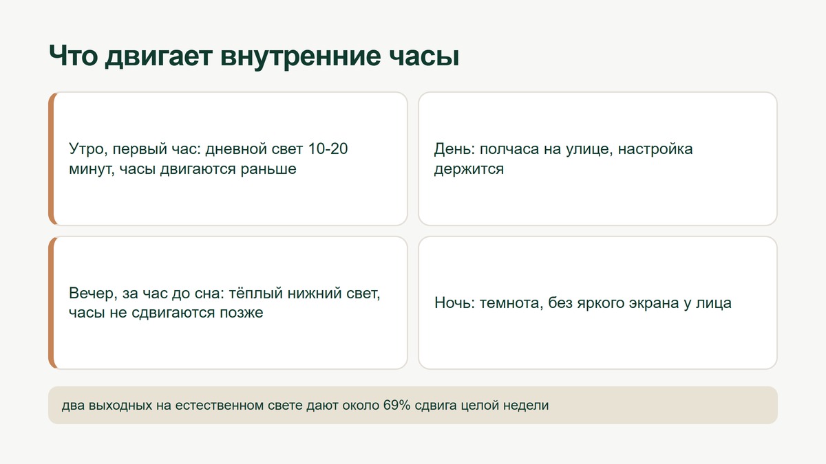 Как утренний и вечерний свет двигают внутренние часы