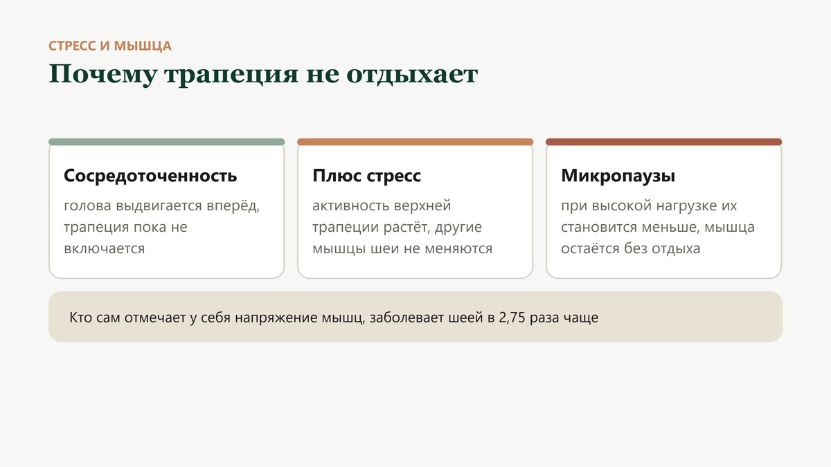 Как стресс держит трапецию: сосредоточенность выдвигает голову вперёд, а активность верхней трапеции растёт именно от психологического давления, и микропауз в мышце становится меньше