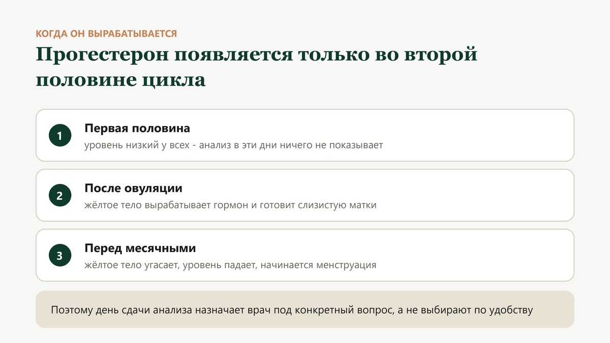 Прогестерон вырабатывается только во второй половине цикла: после овуляции уровень поднимается, перед месячными падает