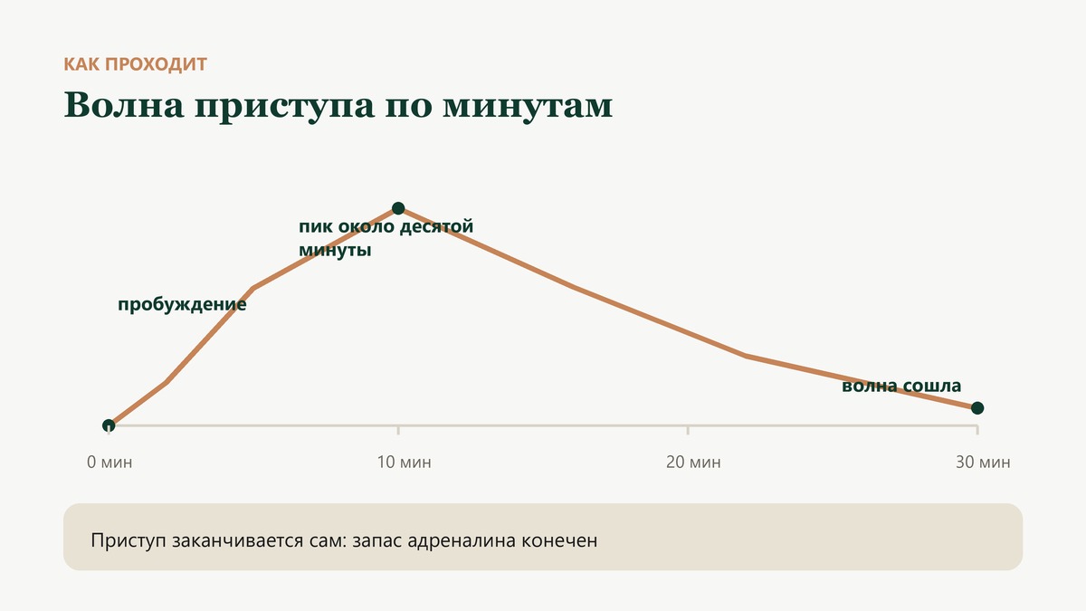 Волна панического приступа по минутам: пик около десятой минуты, к тридцатой минуте волна сходит