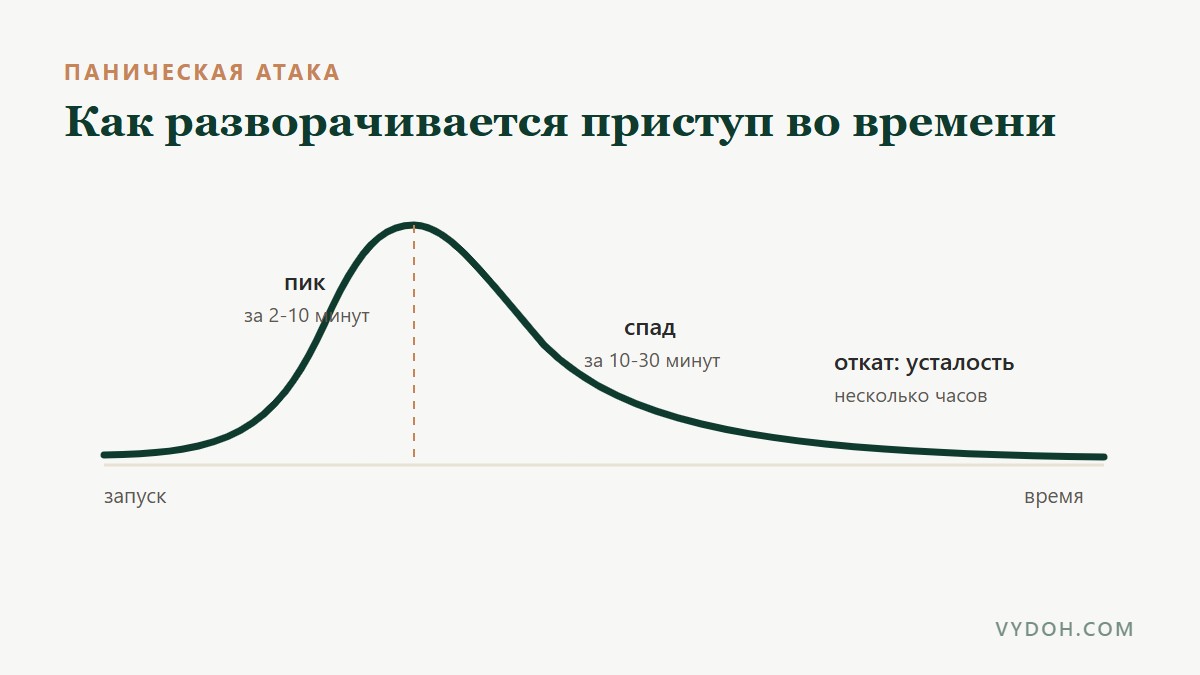 Волна панической атаки: запуск, пик за 2-10 минут, спад за 10-30 минут, откат