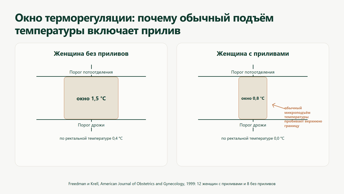 две шкалы температуры: слева окно 1,5 градуса у женщины без приливов, справа окно 0,8 градуса у женщины с приливами