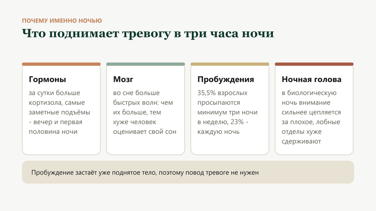 Почему ночь поднимает тревогу: за сутки больше кортизола с пиком на вечер и первую половину ночи, во сне больше быстрых мозговых волн, а в биологическую ночь внимание сильнее цепляется за плохое