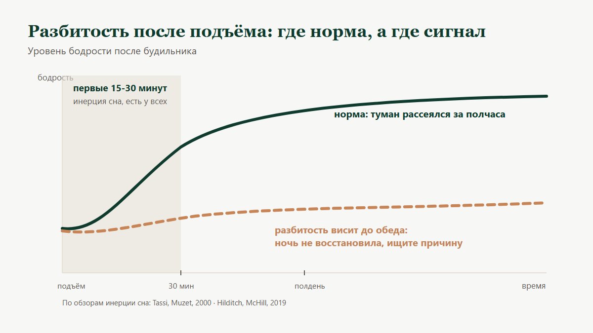 Схема: инерция сна - провал бодрости в первые 15-30 минут после подъёма это норма, а разбитость до середины дня - сигнал искать причину в качестве ночи