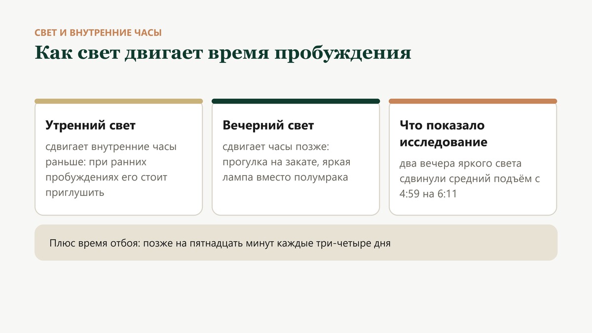Как свет двигает внутренние часы: утренний свет сдвигает их раньше, вечерний позже. В исследовании два вечера яркого света сдвинули подъём с 4:59 на 6:11