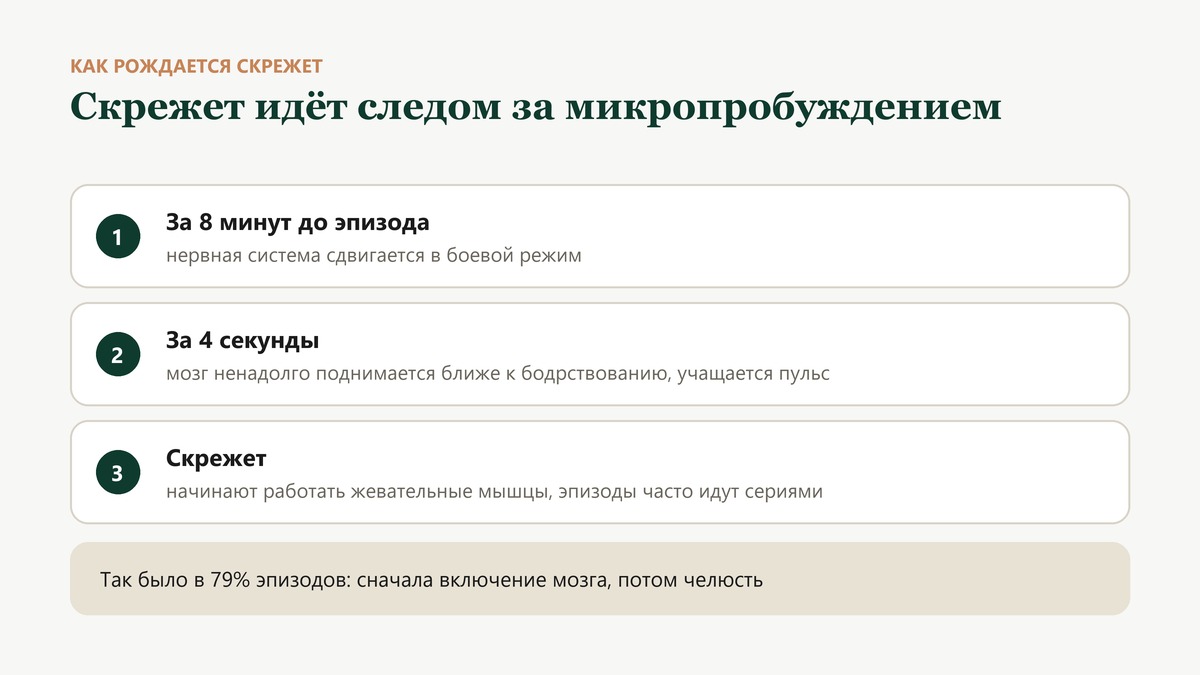 Как рождается скрежет: напряжённый день, за минуты до эпизода нервная система переходит в боевой режим, за секунды до него мозг ненадолго просыпается, и следом работает челюсть