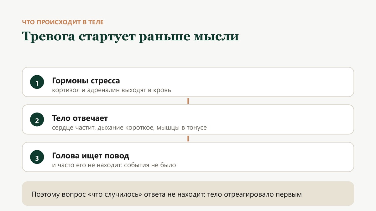 Три шага тревоги: гормоны стресса выходят в кровь, тело отвечает сердцебиением и коротким дыханием, голова ищет повод и не находит