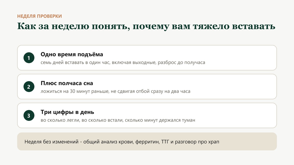 Как за неделю понять, почему вам тяжело вставать: одно время подъёма семь дней, плюс полчаса сна с вечера, три цифры в день в записи